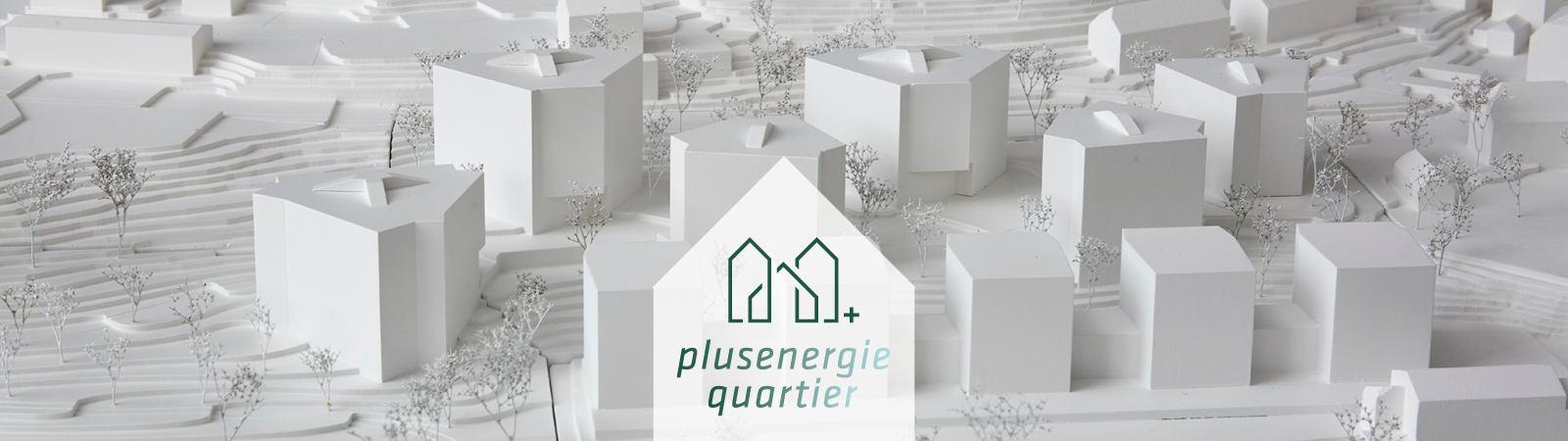 PEQ_Header_breit_mit_Logo_RZ_4